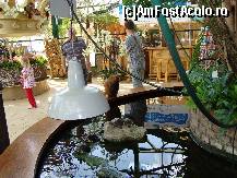 [P04] Intrarea in paradisul tropical de la Orchideen Hoeve » foto by mireille
 - 
<span class="allrVoted glyphicon glyphicon-heart hidden" id="av414203"></span>
<a class="m-l-10 hidden" id="sv414203" onclick="voting_Foto_DelVot(,414203,3710)" role="button">șterge vot <span class="glyphicon glyphicon-remove"></span></a>
<a id="v9414203" class=" c-red"  onclick="voting_Foto_SetVot(414203)" role="button"><span class="glyphicon glyphicon-heart-empty"></span> <b>LIKE</b> = Votează poza</a> <img class="hidden"  id="f414203W9" src="/imagini/loader.gif" border="0" /><span class="AjErrMes hidden" id="e414203ErM"></span>