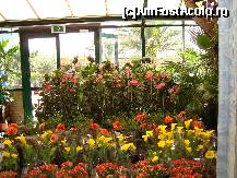 [P06] Intrare vesela in gradina paradisului » foto by mireille
 - 
<span class="allrVoted glyphicon glyphicon-heart hidden" id="av414205"></span>
<a class="m-l-10 hidden" id="sv414205" onclick="voting_Foto_DelVot(,414205,3710)" role="button">șterge vot <span class="glyphicon glyphicon-remove"></span></a>
<a id="v9414205" class=" c-red"  onclick="voting_Foto_SetVot(414205)" role="button"><span class="glyphicon glyphicon-heart-empty"></span> <b>LIKE</b> = Votează poza</a> <img class="hidden"  id="f414205W9" src="/imagini/loader.gif" border="0" /><span class="AjErrMes hidden" id="e414205ErM"></span>