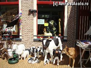 [P01] Poveste cu ,,zeite tarcate ''in orasul Kampen -vacute suvenir de vanzare la strada, pazite de cainele proprietarului » foto by mireille
 - 
<span class="allrVoted glyphicon glyphicon-heart hidden" id="av422873"></span>
<a class="m-l-10 hidden" id="sv422873" onclick="voting_Foto_DelVot(,422873,3710)" role="button">șterge vot <span class="glyphicon glyphicon-remove"></span></a>
<a id="v9422873" class=" c-red"  onclick="voting_Foto_SetVot(422873)" role="button"><span class="glyphicon glyphicon-heart-empty"></span> <b>LIKE</b> = Votează poza</a> <img class="hidden"  id="f422873W9" src="/imagini/loader.gif" border="0" /><span class="AjErrMes hidden" id="e422873ErM"></span>