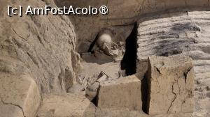 [P21]  -- <small>// FĂRĂ DESCRIERE</small> » foto by geani anto
 - 
<span class="allrVoted glyphicon glyphicon-heart hidden" id="av1501655"></span>
<a class="m-l-10 hidden" id="sv1501655" onclick="voting_Foto_DelVot(,1501655,3731)" role="button">șterge vot <span class="glyphicon glyphicon-remove"></span></a>
<a id="v91501655" class=" c-red"  onclick="voting_Foto_SetVot(1501655)" role="button"><span class="glyphicon glyphicon-heart-empty"></span> <b>LIKE</b> = Votează poza</a> <img class="hidden"  id="f1501655W9" src="/imagini/loader.gif" border="0" /><span class="AjErrMes hidden" id="e1501655ErM"></span>