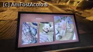 [P23]  -- <small>// FĂRĂ DESCRIERE</small> » foto by geani anto
 - 
<span class="allrVoted glyphicon glyphicon-heart hidden" id="av1501657"></span>
<a class="m-l-10 hidden" id="sv1501657" onclick="voting_Foto_DelVot(,1501657,3731)" role="button">șterge vot <span class="glyphicon glyphicon-remove"></span></a>
<a id="v91501657" class=" c-red"  onclick="voting_Foto_SetVot(1501657)" role="button"><span class="glyphicon glyphicon-heart-empty"></span> <b>LIKE</b> = Votează poza</a> <img class="hidden"  id="f1501657W9" src="/imagini/loader.gif" border="0" /><span class="AjErrMes hidden" id="e1501657ErM"></span>