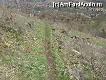 [P11] Poteca de pe Dealul Cetatii Saschiz si radacinile copacilor taiati » foto by biancuta
 - 
<span class="allrVoted glyphicon glyphicon-heart hidden" id="av64438"></span>
<a class="m-l-10 hidden" id="sv64438" onclick="voting_Foto_DelVot(,64438,3750)" role="button">șterge vot <span class="glyphicon glyphicon-remove"></span></a>
<a id="v964438" class=" c-red"  onclick="voting_Foto_SetVot(64438)" role="button"><span class="glyphicon glyphicon-heart-empty"></span> <b>LIKE</b> = Votează poza</a> <img class="hidden"  id="f64438W9" src="/imagini/loader.gif" border="0" /><span class="AjErrMes hidden" id="e64438ErM"></span>