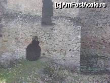 [P20] Cetatea Saschiz - incaperi din cetate » foto by biancuta
 - 
<span class="allrVoted glyphicon glyphicon-heart hidden" id="av64449"></span>
<a class="m-l-10 hidden" id="sv64449" onclick="voting_Foto_DelVot(,64449,3750)" role="button">șterge vot <span class="glyphicon glyphicon-remove"></span></a>
<a id="v964449" class=" c-red"  onclick="voting_Foto_SetVot(64449)" role="button"><span class="glyphicon glyphicon-heart-empty"></span> <b>LIKE</b> = Votează poza</a> <img class="hidden"  id="f64449W9" src="/imagini/loader.gif" border="0" /><span class="AjErrMes hidden" id="e64449ErM"></span>