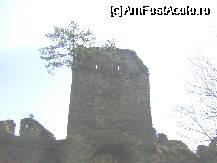 [P27] Cetatea Saschiz - turnul principal 'impadurit' » foto by biancuta
 - 
<span class="allrVoted glyphicon glyphicon-heart hidden" id="av64457"></span>
<a class="m-l-10 hidden" id="sv64457" onclick="voting_Foto_DelVot(,64457,3750)" role="button">șterge vot <span class="glyphicon glyphicon-remove"></span></a>
<a id="v964457" class=" c-red"  onclick="voting_Foto_SetVot(64457)" role="button"><span class="glyphicon glyphicon-heart-empty"></span> <b>LIKE</b> = Votează poza</a> <img class="hidden"  id="f64457W9" src="/imagini/loader.gif" border="0" /><span class="AjErrMes hidden" id="e64457ErM"></span>