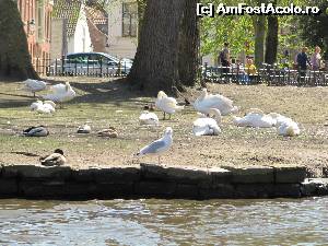 [P08] Lumea lor... si lumea noastra » foto by alb1573
 - 
<span class="allrVoted glyphicon glyphicon-heart hidden" id="av651411"></span>
<a class="m-l-10 hidden" id="sv651411" onclick="voting_Foto_DelVot(,651411,3768)" role="button">șterge vot <span class="glyphicon glyphicon-remove"></span></a>
<a id="v9651411" class=" c-red"  onclick="voting_Foto_SetVot(651411)" role="button"><span class="glyphicon glyphicon-heart-empty"></span> <b>LIKE</b> = Votează poza</a> <img class="hidden"  id="f651411W9" src="/imagini/loader.gif" border="0" /><span class="AjErrMes hidden" id="e651411ErM"></span>