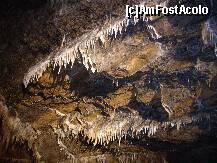 [P22]  -- <small>// FĂRĂ DESCRIERE</small> » foto by lavylus*
 - 
<span class="allrVoted glyphicon glyphicon-heart hidden" id="av151588"></span>
<a class="m-l-10 hidden" id="sv151588" onclick="voting_Foto_DelVot(,151588,3768)" role="button">șterge vot <span class="glyphicon glyphicon-remove"></span></a>
<a id="v9151588" class=" c-red"  onclick="voting_Foto_SetVot(151588)" role="button"><span class="glyphicon glyphicon-heart-empty"></span> <b>LIKE</b> = Votează poza</a> <img class="hidden"  id="f151588W9" src="/imagini/loader.gif" border="0" /><span class="AjErrMes hidden" id="e151588ErM"></span>