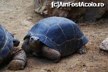 [P10] 'You talkin' to me?' dublura lui de Niro din Taxi Driver » foto by MCM
 - 
<span class="allrVoted glyphicon glyphicon-heart hidden" id="av307750"></span>
<a class="m-l-10 hidden" id="sv307750" onclick="voting_Foto_DelVot(,307750,3768)" role="button">șterge vot <span class="glyphicon glyphicon-remove"></span></a>
<a id="v9307750" class=" c-red"  onclick="voting_Foto_SetVot(307750)" role="button"><span class="glyphicon glyphicon-heart-empty"></span> <b>LIKE</b> = Votează poza</a> <img class="hidden"  id="f307750W9" src="/imagini/loader.gif" border="0" /><span class="AjErrMes hidden" id="e307750ErM"></span>