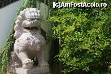 [P12] Va 'suna' cunoscut? » foto by MCM
 - 
<span class="allrVoted glyphicon glyphicon-heart hidden" id="av307752"></span>
<a class="m-l-10 hidden" id="sv307752" onclick="voting_Foto_DelVot(,307752,3768)" role="button">șterge vot <span class="glyphicon glyphicon-remove"></span></a>
<a id="v9307752" class=" c-red"  onclick="voting_Foto_SetVot(307752)" role="button"><span class="glyphicon glyphicon-heart-empty"></span> <b>LIKE</b> = Votează poza</a> <img class="hidden"  id="f307752W9" src="/imagini/loader.gif" border="0" /><span class="AjErrMes hidden" id="e307752ErM"></span>