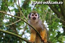 [P15] Unul dintre stramosii nostri. Sau nu. Foarte interactive, asa de interactive ca a muscat-o pe fi'mea de deget » foto by MCM
 - 
<span class="allrVoted glyphicon glyphicon-heart hidden" id="av307756"></span>
<a class="m-l-10 hidden" id="sv307756" onclick="voting_Foto_DelVot(,307756,3768)" role="button">șterge vot <span class="glyphicon glyphicon-remove"></span></a>
<a id="v9307756" class=" c-red"  onclick="voting_Foto_SetVot(307756)" role="button"><span class="glyphicon glyphicon-heart-empty"></span> <b>LIKE</b> = Votează poza</a> <img class="hidden"  id="f307756W9" src="/imagini/loader.gif" border="0" /><span class="AjErrMes hidden" id="e307756ErM"></span>