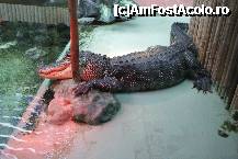 [P16] Cine misca bazinul? Ce noapte grea, am fost la bauta cu prietenii » foto by MCM
 - 
<span class="allrVoted glyphicon glyphicon-heart hidden" id="av307757"></span>
<a class="m-l-10 hidden" id="sv307757" onclick="voting_Foto_DelVot(,307757,3768)" role="button">șterge vot <span class="glyphicon glyphicon-remove"></span></a>
<a id="v9307757" class=" c-red"  onclick="voting_Foto_SetVot(307757)" role="button"><span class="glyphicon glyphicon-heart-empty"></span> <b>LIKE</b> = Votează poza</a> <img class="hidden"  id="f307757W9" src="/imagini/loader.gif" border="0" /><span class="AjErrMes hidden" id="e307757ErM"></span>