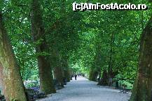 [P20] Frumoasa si batrana alee care ne-a condus catre iesirea din parc. Cred caerau artari » foto by MCM
 - 
<span class="allrVoted glyphicon glyphicon-heart hidden" id="av307763"></span>
<a class="m-l-10 hidden" id="sv307763" onclick="voting_Foto_DelVot(,307763,3768)" role="button">șterge vot <span class="glyphicon glyphicon-remove"></span></a>
<a id="v9307763" class=" c-red"  onclick="voting_Foto_SetVot(307763)" role="button"><span class="glyphicon glyphicon-heart-empty"></span> <b>LIKE</b> = Votează poza</a> <img class="hidden"  id="f307763W9" src="/imagini/loader.gif" border="0" /><span class="AjErrMes hidden" id="e307763ErM"></span>