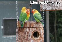 [P03] Si cum va spuneam fetelor, am vazut-o azi pe coana Mita....:))) » foto by MCM
 - 
<span class="allrVoted glyphicon glyphicon-heart hidden" id="av307738"></span>
<a class="m-l-10 hidden" id="sv307738" onclick="voting_Foto_DelVot(,307738,3768)" role="button">șterge vot <span class="glyphicon glyphicon-remove"></span></a>
<a id="v9307738" class=" c-red"  onclick="voting_Foto_SetVot(307738)" role="button"><span class="glyphicon glyphicon-heart-empty"></span> <b>LIKE</b> = Votează poza</a> <img class="hidden"  id="f307738W9" src="/imagini/loader.gif" border="0" /><span class="AjErrMes hidden" id="e307738ErM"></span>