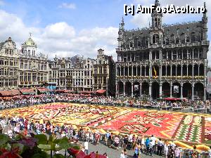 [P01] Covorul de flori vazut din balconul Primariei. In fata este Maison du Roi » foto by MCM
 - 
<span class="allrVoted glyphicon glyphicon-heart hidden" id="av386353"></span>
<a class="m-l-10 hidden" id="sv386353" onclick="voting_Foto_DelVot(,386353,3768)" role="button">șterge vot <span class="glyphicon glyphicon-remove"></span></a>
<a id="v9386353" class=" c-red"  onclick="voting_Foto_SetVot(386353)" role="button"><span class="glyphicon glyphicon-heart-empty"></span> <b>LIKE</b> = Votează poza</a> <img class="hidden"  id="f386353W9" src="/imagini/loader.gif" border="0" /><span class="AjErrMes hidden" id="e386353ErM"></span>