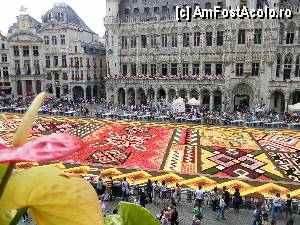 [P26] Covorul de flori vazut din balconul Maison du Roi. In fata Primaria. Urmatoarele fotografii sunt dedicatie speciala pentru @Costi » foto by MCM
 - 
<span class="allrVoted glyphicon glyphicon-heart hidden" id="av386515"></span>
<a class="m-l-10 hidden" id="sv386515" onclick="voting_Foto_DelVot(,386515,3768)" role="button">șterge vot <span class="glyphicon glyphicon-remove"></span></a>
<a id="v9386515" class=" c-red"  onclick="voting_Foto_SetVot(386515)" role="button"><span class="glyphicon glyphicon-heart-empty"></span> <b>LIKE</b> = Votează poza</a> <img class="hidden"  id="f386515W9" src="/imagini/loader.gif" border="0" /><span class="AjErrMes hidden" id="e386515ErM"></span>