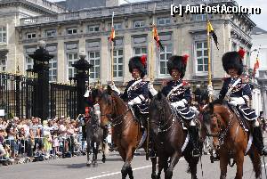 [P30] dedicatie speciala pentru @Costi. Chiar daca nu este politia calare din Parc de Bruxelles, caii sunt tot frumosi. Parada de ziua nationala.  » foto by MCM
 - 
<span class="allrVoted glyphicon glyphicon-heart hidden" id="av389922"></span>
<a class="m-l-10 hidden" id="sv389922" onclick="voting_Foto_DelVot(,389922,3768)" role="button">șterge vot <span class="glyphicon glyphicon-remove"></span></a>
<a id="v9389922" class=" c-red"  onclick="voting_Foto_SetVot(389922)" role="button"><span class="glyphicon glyphicon-heart-empty"></span> <b>LIKE</b> = Votează poza</a> <img class="hidden"  id="f389922W9" src="/imagini/loader.gif" border="0" /><span class="AjErrMes hidden" id="e389922ErM"></span>