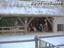 [P11] Ieslea din Piata Mare cu o oaie vie!! » foto by nnaaee
 - 
<span class="allrVoted glyphicon glyphicon-heart hidden" id="av242957"></span>
<a class="m-l-10 hidden" id="sv242957" onclick="voting_Foto_DelVot(,242957,3768)" role="button">șterge vot <span class="glyphicon glyphicon-remove"></span></a>
<a id="v9242957" class=" c-red"  onclick="voting_Foto_SetVot(242957)" role="button"><span class="glyphicon glyphicon-heart-empty"></span> <b>LIKE</b> = Votează poza</a> <img class="hidden"  id="f242957W9" src="/imagini/loader.gif" border="0" /><span class="AjErrMes hidden" id="e242957ErM"></span>