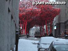 [P13] Arta? » foto by nnaaee
 - 
<span class="allrVoted glyphicon glyphicon-heart hidden" id="av242961"></span>
<a class="m-l-10 hidden" id="sv242961" onclick="voting_Foto_DelVot(,242961,3768)" role="button">șterge vot <span class="glyphicon glyphicon-remove"></span></a>
<a id="v9242961" class=" c-red"  onclick="voting_Foto_SetVot(242961)" role="button"><span class="glyphicon glyphicon-heart-empty"></span> <b>LIKE</b> = Votează poza</a> <img class="hidden"  id="f242961W9" src="/imagini/loader.gif" border="0" /><span class="AjErrMes hidden" id="e242961ErM"></span>