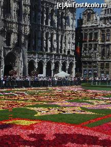 [P19] Simfonie » foto by rodica1016
 - 
<span class="allrVoted glyphicon glyphicon-heart hidden" id="av409313"></span>
<a class="m-l-10 hidden" id="sv409313" onclick="voting_Foto_DelVot(,409313,3768)" role="button">șterge vot <span class="glyphicon glyphicon-remove"></span></a>
<a id="v9409313" class=" c-red"  onclick="voting_Foto_SetVot(409313)" role="button"><span class="glyphicon glyphicon-heart-empty"></span> <b>LIKE</b> = Votează poza</a> <img class="hidden"  id="f409313W9" src="/imagini/loader.gif" border="0" /><span class="AjErrMes hidden" id="e409313ErM"></span>