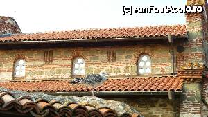 [P06]  -- <small>// FĂRĂ DESCRIERE</small> » foto by cliffhanger
 - 
<span class="allrVoted glyphicon glyphicon-heart hidden" id="av458996"></span>
<a class="m-l-10 hidden" id="sv458996" onclick="voting_Foto_DelVot(,458996,3774)" role="button">șterge vot <span class="glyphicon glyphicon-remove"></span></a>
<a id="v9458996" class=" c-red"  onclick="voting_Foto_SetVot(458996)" role="button"><span class="glyphicon glyphicon-heart-empty"></span> <b>LIKE</b> = Votează poza</a> <img class="hidden"  id="f458996W9" src="/imagini/loader.gif" border="0" /><span class="AjErrMes hidden" id="e458996ErM"></span>
