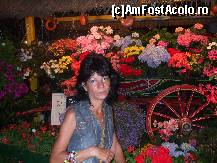 [P15] tory langa cazino-mamaia  -  ce flori superbe   2008 » foto by bigu_2006_rapid
 - 
<span class="allrVoted glyphicon glyphicon-heart hidden" id="av25676"></span>
<a class="m-l-10 hidden" id="sv25676" onclick="voting_Foto_DelVot(,25676,3784)" role="button">șterge vot <span class="glyphicon glyphicon-remove"></span></a>
<a id="v925676" class=" c-red"  onclick="voting_Foto_SetVot(25676)" role="button"><span class="glyphicon glyphicon-heart-empty"></span> <b>LIKE</b> = Votează poza</a> <img class="hidden"  id="f25676W9" src="/imagini/loader.gif" border="0" /><span class="AjErrMes hidden" id="e25676ErM"></span>