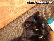 [P57]  -- <small>// FĂRĂ DESCRIERE</small> » foto by susu
 - 
<span class="allrVoted glyphicon glyphicon-heart hidden" id="av223527"></span>
<a class="m-l-10 hidden" id="sv223527" onclick="voting_Foto_DelVot(,223527,3792)" role="button">șterge vot <span class="glyphicon glyphicon-remove"></span></a>
<a id="v9223527" class=" c-red"  onclick="voting_Foto_SetVot(223527)" role="button"><span class="glyphicon glyphicon-heart-empty"></span> <b>LIKE</b> = Votează poza</a> <img class="hidden"  id="f223527W9" src="/imagini/loader.gif" border="0" /><span class="AjErrMes hidden" id="e223527ErM"></span>