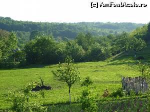 [P20] maramures la sfarsit de mai » foto by graclari
 - 
<span class="allrVoted glyphicon glyphicon-heart hidden" id="av611970"></span>
<a class="m-l-10 hidden" id="sv611970" onclick="voting_Foto_DelVot(,611970,3792)" role="button">șterge vot <span class="glyphicon glyphicon-remove"></span></a>
<a id="v9611970" class=" c-red"  onclick="voting_Foto_SetVot(611970)" role="button"><span class="glyphicon glyphicon-heart-empty"></span> <b>LIKE</b> = Votează poza</a> <img class="hidden"  id="f611970W9" src="/imagini/loader.gif" border="0" /><span class="AjErrMes hidden" id="e611970ErM"></span>