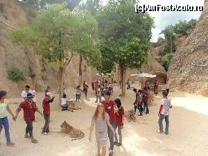 [P18] voluntarii care se ocupa de turisti si de tigrisori » foto by robert
 - 
<span class="allrVoted glyphicon glyphicon-heart hidden" id="av587066"></span>
<a class="m-l-10 hidden" id="sv587066" onclick="voting_Foto_DelVot(,587066,3802)" role="button">șterge vot <span class="glyphicon glyphicon-remove"></span></a>
<a id="v9587066" class=" c-red"  onclick="voting_Foto_SetVot(587066)" role="button"><span class="glyphicon glyphicon-heart-empty"></span> <b>LIKE</b> = Votează poza</a> <img class="hidden"  id="f587066W9" src="/imagini/loader.gif" border="0" /><span class="AjErrMes hidden" id="e587066ErM"></span>