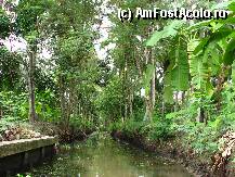 [P12] Canal nefolosit » foto by lizuk
 - 
<span class="allrVoted glyphicon glyphicon-heart hidden" id="av25843"></span>
<a class="m-l-10 hidden" id="sv25843" onclick="voting_Foto_DelVot(,25843,3802)" role="button">șterge vot <span class="glyphicon glyphicon-remove"></span></a>
<a id="v925843" class=" c-red"  onclick="voting_Foto_SetVot(25843)" role="button"><span class="glyphicon glyphicon-heart-empty"></span> <b>LIKE</b> = Votează poza</a> <img class="hidden"  id="f25843W9" src="/imagini/loader.gif" border="0" /><span class="AjErrMes hidden" id="e25843ErM"></span>