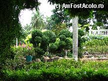 [P21] Copacei la Rose Garden » foto by lizuk
 - 
<span class="allrVoted glyphicon glyphicon-heart hidden" id="av25852"></span>
<a class="m-l-10 hidden" id="sv25852" onclick="voting_Foto_DelVot(,25852,3802)" role="button">șterge vot <span class="glyphicon glyphicon-remove"></span></a>
<a id="v925852" class=" c-red"  onclick="voting_Foto_SetVot(25852)" role="button"><span class="glyphicon glyphicon-heart-empty"></span> <b>LIKE</b> = Votează poza</a> <img class="hidden"  id="f25852W9" src="/imagini/loader.gif" border="0" /><span class="AjErrMes hidden" id="e25852ErM"></span>
