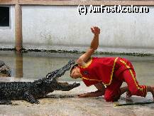 [P24] A stat cateva secunde bune cu capul in gura crocodilului! » foto by lizuk
 - 
<span class="allrVoted glyphicon glyphicon-heart hidden" id="av25855"></span>
<a class="m-l-10 hidden" id="sv25855" onclick="voting_Foto_DelVot(,25855,3802)" role="button">șterge vot <span class="glyphicon glyphicon-remove"></span></a>
<a id="v925855" class=" c-red"  onclick="voting_Foto_SetVot(25855)" role="button"><span class="glyphicon glyphicon-heart-empty"></span> <b>LIKE</b> = Votează poza</a> <img class="hidden"  id="f25855W9" src="/imagini/loader.gif" border="0" /><span class="AjErrMes hidden" id="e25855ErM"></span>