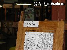[P39] Se pare ca au fost si alti romani inaintea noastra » foto by lizuk
 - 
<span class="allrVoted glyphicon glyphicon-heart hidden" id="av25870"></span>
<a class="m-l-10 hidden" id="sv25870" onclick="voting_Foto_DelVot(,25870,3802)" role="button">șterge vot <span class="glyphicon glyphicon-remove"></span></a>
<a id="v925870" class=" c-red"  onclick="voting_Foto_SetVot(25870)" role="button"><span class="glyphicon glyphicon-heart-empty"></span> <b>LIKE</b> = Votează poza</a> <img class="hidden"  id="f25870W9" src="/imagini/loader.gif" border="0" /><span class="AjErrMes hidden" id="e25870ErM"></span>