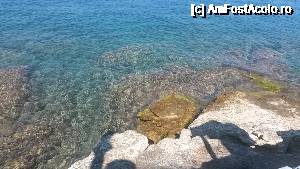 [P22] Mica plaja cu pietricele din Paxos » foto by AleDia
 - 
<span class="allrVoted glyphicon glyphicon-heart hidden" id="av688291"></span>
<a class="m-l-10 hidden" id="sv688291" onclick="voting_Foto_DelVot(,688291,3807)" role="button">șterge vot <span class="glyphicon glyphicon-remove"></span></a>
<a id="v9688291" class=" c-red"  onclick="voting_Foto_SetVot(688291)" role="button"><span class="glyphicon glyphicon-heart-empty"></span> <b>LIKE</b> = Votează poza</a> <img class="hidden"  id="f688291W9" src="/imagini/loader.gif" border="0" /><span class="AjErrMes hidden" id="e688291ErM"></span>