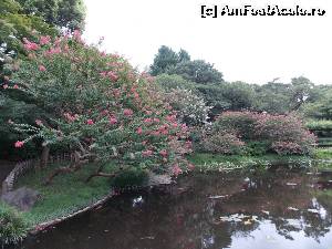 [P10] Tokyo, Palatul Imperial, Gradinile de Est, Gradina Ninomaru » foto by mprofeanu
 - 
<span class="allrVoted glyphicon glyphicon-heart hidden" id="av673842"></span>
<a class="m-l-10 hidden" id="sv673842" onclick="voting_Foto_DelVot(,673842,3821)" role="button">șterge vot <span class="glyphicon glyphicon-remove"></span></a>
<a id="v9673842" class=" c-red"  onclick="voting_Foto_SetVot(673842)" role="button"><span class="glyphicon glyphicon-heart-empty"></span> <b>LIKE</b> = Votează poza</a> <img class="hidden"  id="f673842W9" src="/imagini/loader.gif" border="0" /><span class="AjErrMes hidden" id="e673842ErM"></span>