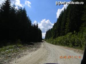 [P04] Luncile Prigoanei (munţii Șureanu) - drumul forestier pe care se merge spre Lunicle Prigoanei.  » foto by bogumil
 - 
<span class="allrVoted glyphicon glyphicon-heart hidden" id="av671579"></span>
<a class="m-l-10 hidden" id="sv671579" onclick="voting_Foto_DelVot(,671579,3832)" role="button">șterge vot <span class="glyphicon glyphicon-remove"></span></a>
<a id="v9671579" class=" c-red"  onclick="voting_Foto_SetVot(671579)" role="button"><span class="glyphicon glyphicon-heart-empty"></span> <b>LIKE</b> = Votează poza</a> <img class="hidden"  id="f671579W9" src="/imagini/loader.gif" border="0" /><span class="AjErrMes hidden" id="e671579ErM"></span>