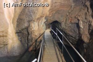 [P21] Munții Pădurea Craiului, Peștera Vadul Crișului, Prin peșteră, se merge și aplecat, sub noi se aude apa » foto by mprofeanu
 - 
<span class="allrVoted glyphicon glyphicon-heart hidden" id="av1066263"></span>
<a class="m-l-10 hidden" id="sv1066263" onclick="voting_Foto_DelVot(,1066263,3850)" role="button">șterge vot <span class="glyphicon glyphicon-remove"></span></a>
<a id="v91066263" class=" c-red"  onclick="voting_Foto_SetVot(1066263)" role="button"><span class="glyphicon glyphicon-heart-empty"></span> <b>LIKE</b> = Votează poza</a> <img class="hidden"  id="f1066263W9" src="/imagini/loader.gif" border="0" /><span class="AjErrMes hidden" id="e1066263ErM"></span>