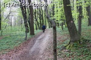 [P03] Munții Pădurea Craiului, Poteca spre Peștera Vadul Crișului bine marcată cu punct roșu cu alb » foto by mprofeanu
 - 
<span class="allrVoted glyphicon glyphicon-heart hidden" id="av1066245"></span>
<a class="m-l-10 hidden" id="sv1066245" onclick="voting_Foto_DelVot(,1066245,3850)" role="button">șterge vot <span class="glyphicon glyphicon-remove"></span></a>
<a id="v91066245" class=" c-red"  onclick="voting_Foto_SetVot(1066245)" role="button"><span class="glyphicon glyphicon-heart-empty"></span> <b>LIKE</b> = Votează poza</a> <img class="hidden"  id="f1066245W9" src="/imagini/loader.gif" border="0" /><span class="AjErrMes hidden" id="e1066245ErM"></span>