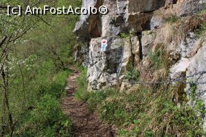 [P07] Munții Pădurea Craiului, Poteca spre Peștera Vadul Crișului are și lanțuri de ajutor » foto by mprofeanu
 - 
<span class="allrVoted glyphicon glyphicon-heart hidden" id="av1066249"></span>
<a class="m-l-10 hidden" id="sv1066249" onclick="voting_Foto_DelVot(,1066249,3850)" role="button">șterge vot <span class="glyphicon glyphicon-remove"></span></a>
<a id="v91066249" class=" c-red"  onclick="voting_Foto_SetVot(1066249)" role="button"><span class="glyphicon glyphicon-heart-empty"></span> <b>LIKE</b> = Votează poza</a> <img class="hidden"  id="f1066249W9" src="/imagini/loader.gif" border="0" /><span class="AjErrMes hidden" id="e1066249ErM"></span>
