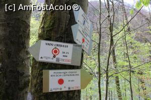 [P08] Munții Pădurea Craiului, Mai sunt 10 minute până la Peștera Vadul Crișului » foto by mprofeanu
 - 
<span class="allrVoted glyphicon glyphicon-heart hidden" id="av1066250"></span>
<a class="m-l-10 hidden" id="sv1066250" onclick="voting_Foto_DelVot(,1066250,3850)" role="button">șterge vot <span class="glyphicon glyphicon-remove"></span></a>
<a id="v91066250" class=" c-red"  onclick="voting_Foto_SetVot(1066250)" role="button"><span class="glyphicon glyphicon-heart-empty"></span> <b>LIKE</b> = Votează poza</a> <img class="hidden"  id="f1066250W9" src="/imagini/loader.gif" border="0" /><span class="AjErrMes hidden" id="e1066250ErM"></span>
