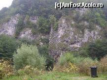 [P10] Defileul Crisului - frumusetea naturii in defileu » foto by biancuta
 - 
<span class="allrVoted glyphicon glyphicon-heart hidden" id="av147431"></span>
<a class="m-l-10 hidden" id="sv147431" onclick="voting_Foto_DelVot(,147431,3850)" role="button">șterge vot <span class="glyphicon glyphicon-remove"></span></a>
<a id="v9147431" class=" c-red"  onclick="voting_Foto_SetVot(147431)" role="button"><span class="glyphicon glyphicon-heart-empty"></span> <b>LIKE</b> = Votează poza</a> <img class="hidden"  id="f147431W9" src="/imagini/loader.gif" border="0" /><span class="AjErrMes hidden" id="e147431ErM"></span>