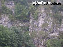 [P20] Defileul Crisului - un peisaj deosebit » foto by biancuta
 - 
<span class="allrVoted glyphicon glyphicon-heart hidden" id="av147442"></span>
<a class="m-l-10 hidden" id="sv147442" onclick="voting_Foto_DelVot(,147442,3850)" role="button">șterge vot <span class="glyphicon glyphicon-remove"></span></a>
<a id="v9147442" class=" c-red"  onclick="voting_Foto_SetVot(147442)" role="button"><span class="glyphicon glyphicon-heart-empty"></span> <b>LIKE</b> = Votează poza</a> <img class="hidden"  id="f147442W9" src="/imagini/loader.gif" border="0" /><span class="AjErrMes hidden" id="e147442ErM"></span>