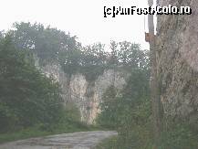 [P05] Defileul Crisului - un peisaj superb! » foto by biancuta
 - 
<span class="allrVoted glyphicon glyphicon-heart hidden" id="av147418"></span>
<a class="m-l-10 hidden" id="sv147418" onclick="voting_Foto_DelVot(,147418,3850)" role="button">șterge vot <span class="glyphicon glyphicon-remove"></span></a>
<a id="v9147418" class=" c-red"  onclick="voting_Foto_SetVot(147418)" role="button"><span class="glyphicon glyphicon-heart-empty"></span> <b>LIKE</b> = Votează poza</a> <img class="hidden"  id="f147418W9" src="/imagini/loader.gif" border="0" /><span class="AjErrMes hidden" id="e147418ErM"></span>