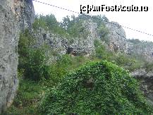 [P06] Defileul Crisului - stancile strajuiesc drumul » foto by biancuta
 - 
<span class="allrVoted glyphicon glyphicon-heart hidden" id="av147421"></span>
<a class="m-l-10 hidden" id="sv147421" onclick="voting_Foto_DelVot(,147421,3850)" role="button">șterge vot <span class="glyphicon glyphicon-remove"></span></a>
<a id="v9147421" class=" c-red"  onclick="voting_Foto_SetVot(147421)" role="button"><span class="glyphicon glyphicon-heart-empty"></span> <b>LIKE</b> = Votează poza</a> <img class="hidden"  id="f147421W9" src="/imagini/loader.gif" border="0" /><span class="AjErrMes hidden" id="e147421ErM"></span>