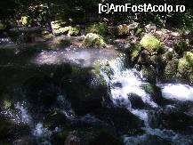 [P32x]  -- <small>// FĂRĂ DESCRIERE</small> » foto by danoradea
 - 
<span class="allrVoted glyphicon glyphicon-heart hidden" id="av26867"></span>
<a class="m-l-10 hidden" id="sv26867" onclick="voting_Foto_DelVot(,26867,3850)" role="button">șterge vot <span class="glyphicon glyphicon-remove"></span></a>
<a id="v926867" class=" c-red"  onclick="voting_Foto_SetVot(26867)" role="button"><span class="glyphicon glyphicon-heart-empty"></span> <b>LIKE</b> = Votează poza</a> <img class="hidden"  id="f26867W9" src="/imagini/loader.gif" border="0" /><span class="AjErrMes hidden" id="e26867ErM"></span>