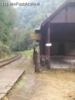 [P01] aici opreste trenul, chiar in fata pesterii » foto by A.M.
 - 
<span class="allrVoted glyphicon glyphicon-heart hidden" id="av1009362"></span>
<a class="m-l-10 hidden" id="sv1009362" onclick="voting_Foto_DelVot(,1009362,3850)" role="button">șterge vot <span class="glyphicon glyphicon-remove"></span></a>
<a id="v91009362" class=" c-red"  onclick="voting_Foto_SetVot(1009362)" role="button"><span class="glyphicon glyphicon-heart-empty"></span> <b>LIKE</b> = Votează poza</a> <img class="hidden"  id="f1009362W9" src="/imagini/loader.gif" border="0" /><span class="AjErrMes hidden" id="e1009362ErM"></span>