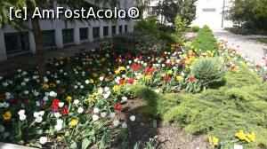 [P22] Admirăm frumoasele floricele din apropiere.  » foto by Floryn81
 - 
<span class="allrVoted glyphicon glyphicon-heart hidden" id="av738224"></span>
<a class="m-l-10 hidden" id="sv738224" onclick="voting_Foto_DelVot(,738224,3854)" role="button">șterge vot <span class="glyphicon glyphicon-remove"></span></a>
<a id="v9738224" class=" c-red"  onclick="voting_Foto_SetVot(738224)" role="button"><span class="glyphicon glyphicon-heart-empty"></span> <b>LIKE</b> = Votează poza</a> <img class="hidden"  id="f738224W9" src="/imagini/loader.gif" border="0" /><span class="AjErrMes hidden" id="e738224ErM"></span>