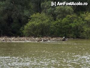 [P26] Din nou la Tulcea - am pornit spre Deltă. Un „plaur” de gunoaie aduse de apele mari » foto by Dragoș_MD
 - 
<span class="allrVoted glyphicon glyphicon-heart hidden" id="av515678"></span>
<a class="m-l-10 hidden" id="sv515678" onclick="voting_Foto_DelVot(,515678,3854)" role="button">șterge vot <span class="glyphicon glyphicon-remove"></span></a>
<a id="v9515678" class=" c-red"  onclick="voting_Foto_SetVot(515678)" role="button"><span class="glyphicon glyphicon-heart-empty"></span> <b>LIKE</b> = Votează poza</a> <img class="hidden"  id="f515678W9" src="/imagini/loader.gif" border="0" /><span class="AjErrMes hidden" id="e515678ErM"></span>