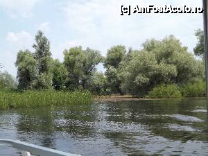 [P38] Din nou la Tulcea - am pornit spre Deltă » foto by Dragoș_MD
 - 
<span class="allrVoted glyphicon glyphicon-heart hidden" id="av515690"></span>
<a class="m-l-10 hidden" id="sv515690" onclick="voting_Foto_DelVot(,515690,3854)" role="button">șterge vot <span class="glyphicon glyphicon-remove"></span></a>
<a id="v9515690" class=" c-red"  onclick="voting_Foto_SetVot(515690)" role="button"><span class="glyphicon glyphicon-heart-empty"></span> <b>LIKE</b> = Votează poza</a> <img class="hidden"  id="f515690W9" src="/imagini/loader.gif" border="0" /><span class="AjErrMes hidden" id="e515690ErM"></span>