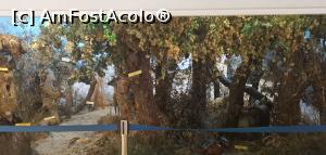 [P29] <strong>Centrul Muzeal Ecoturistic Delta Dunării</strong> - Delta fluvio-maritimă. » foto by Aurici
 - 
<span class="allrVoted glyphicon glyphicon-heart hidden" id="av1234439"></span>
<a class="m-l-10 hidden" id="sv1234439" onclick="voting_Foto_DelVot(,1234439,3854)" role="button">șterge vot <span class="glyphicon glyphicon-remove"></span></a>
<a id="v91234439" class=" c-red"  onclick="voting_Foto_SetVot(1234439)" role="button"><span class="glyphicon glyphicon-heart-empty"></span> <b>LIKE</b> = Votează poza</a> <img class="hidden"  id="f1234439W9" src="/imagini/loader.gif" border="0" /><span class="AjErrMes hidden" id="e1234439ErM"></span>