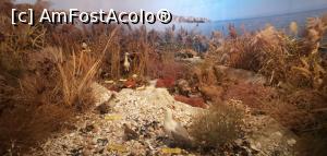 [P30] <strong>Centrul Muzeal Ecoturistic Delta Dunării</strong> - Complexul lagunar Razim-Sinoe. » foto by Aurici
 - 
<span class="allrVoted glyphicon glyphicon-heart hidden" id="av1234440"></span>
<a class="m-l-10 hidden" id="sv1234440" onclick="voting_Foto_DelVot(,1234440,3854)" role="button">șterge vot <span class="glyphicon glyphicon-remove"></span></a>
<a id="v91234440" class=" c-red"  onclick="voting_Foto_SetVot(1234440)" role="button"><span class="glyphicon glyphicon-heart-empty"></span> <b>LIKE</b> = Votează poza</a> <img class="hidden"  id="f1234440W9" src="/imagini/loader.gif" border="0" /><span class="AjErrMes hidden" id="e1234440ErM"></span>