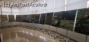 [P32] <strong>Centrul Muzeal Ecoturistic Delta Dunării</strong> - expoziția de fotografie "mama și puiul", extraordinar de sugestivă. » foto by Aurici
 - 
<span class="allrVoted glyphicon glyphicon-heart hidden" id="av1234442"></span>
<a class="m-l-10 hidden" id="sv1234442" onclick="voting_Foto_DelVot(,1234442,3854)" role="button">șterge vot <span class="glyphicon glyphicon-remove"></span></a>
<a id="v91234442" class=" c-red"  onclick="voting_Foto_SetVot(1234442)" role="button"><span class="glyphicon glyphicon-heart-empty"></span> <b>LIKE</b> = Votează poza</a> <img class="hidden"  id="f1234442W9" src="/imagini/loader.gif" border="0" /><span class="AjErrMes hidden" id="e1234442ErM"></span>